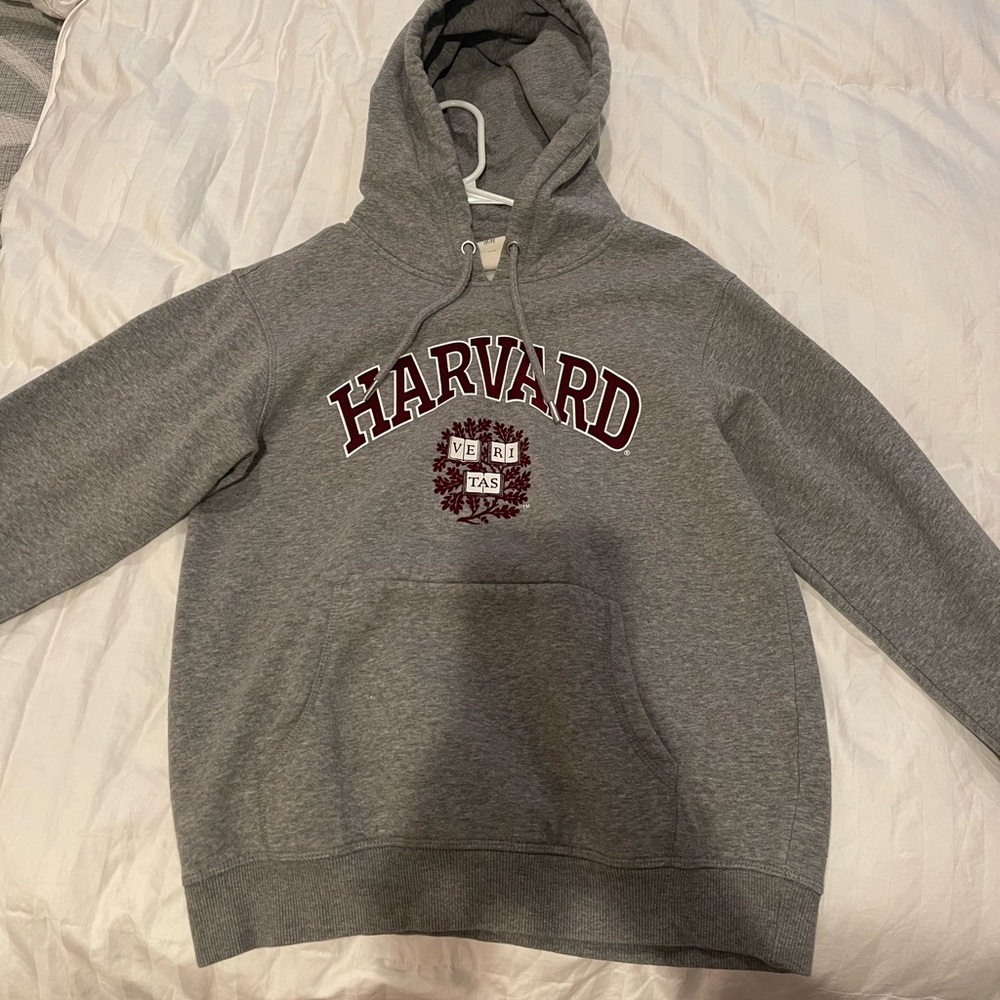 H&M cropped grey hoodie